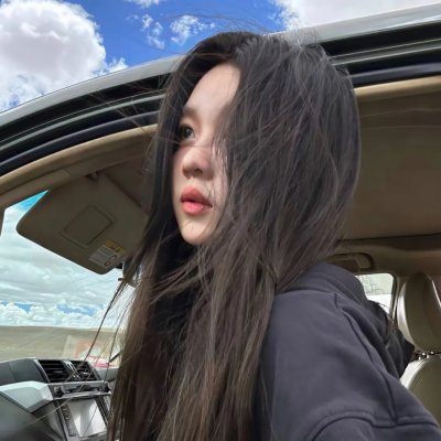哈兰·科本的庇护所